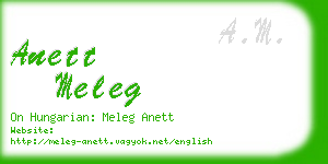 anett meleg business card